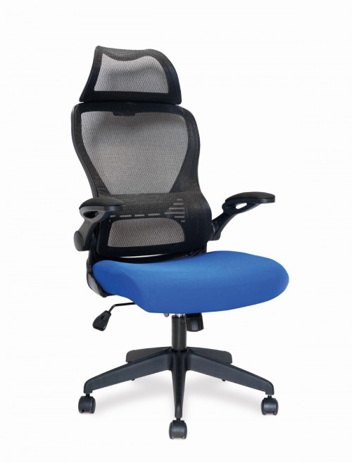 Mesh Office Chair Blue Canis Computer Chair BCM/K540/BK-BL by Eliza Tinsley Nautilus