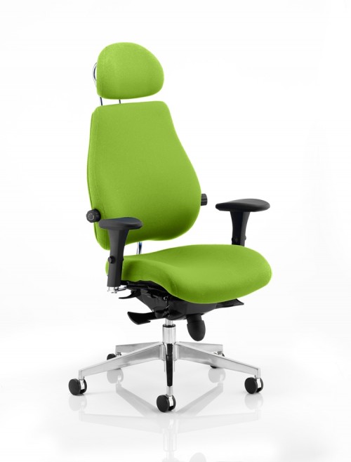 Office Chair Chiro Plus Ultimate Myrrh Green 24 Hour Ergonomic Chair KCUP0170 by Dynamic