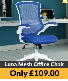 Luna Blue Mesh Office Chair