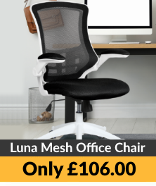 Luna Black and White Mesh Office Chair