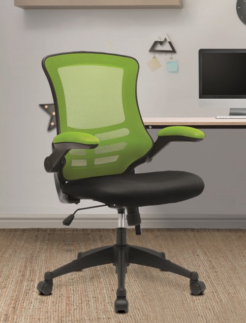 Mesh Office Chair Green/Black Luna Computer Chair BCM/T1302/GN by Eliza Tinsley Nautilus