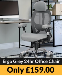 Ergo Grey 24 Hour Executive Office Chair