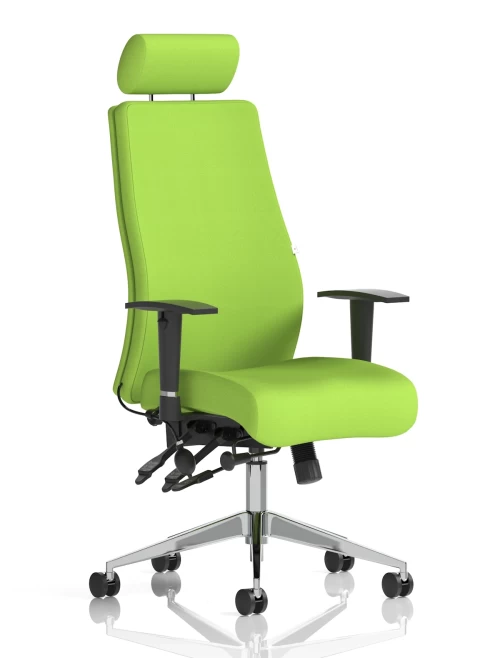 Office Chair Onyx Myrrh Green 24 Hour Ergonomic Chair KCUP0434 by Dynamic