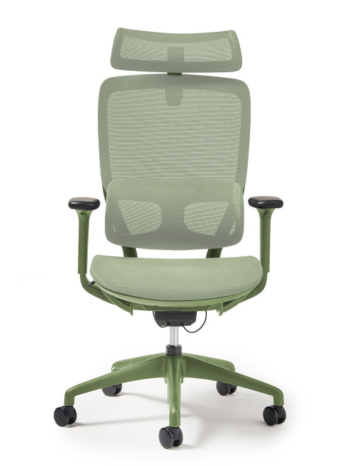 Mesh Office Chair Green Kara Executive Mesh Task Chair KAR300T1-GN - enlarged view