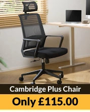 Cambridge Plus Black Mesh Office Chair