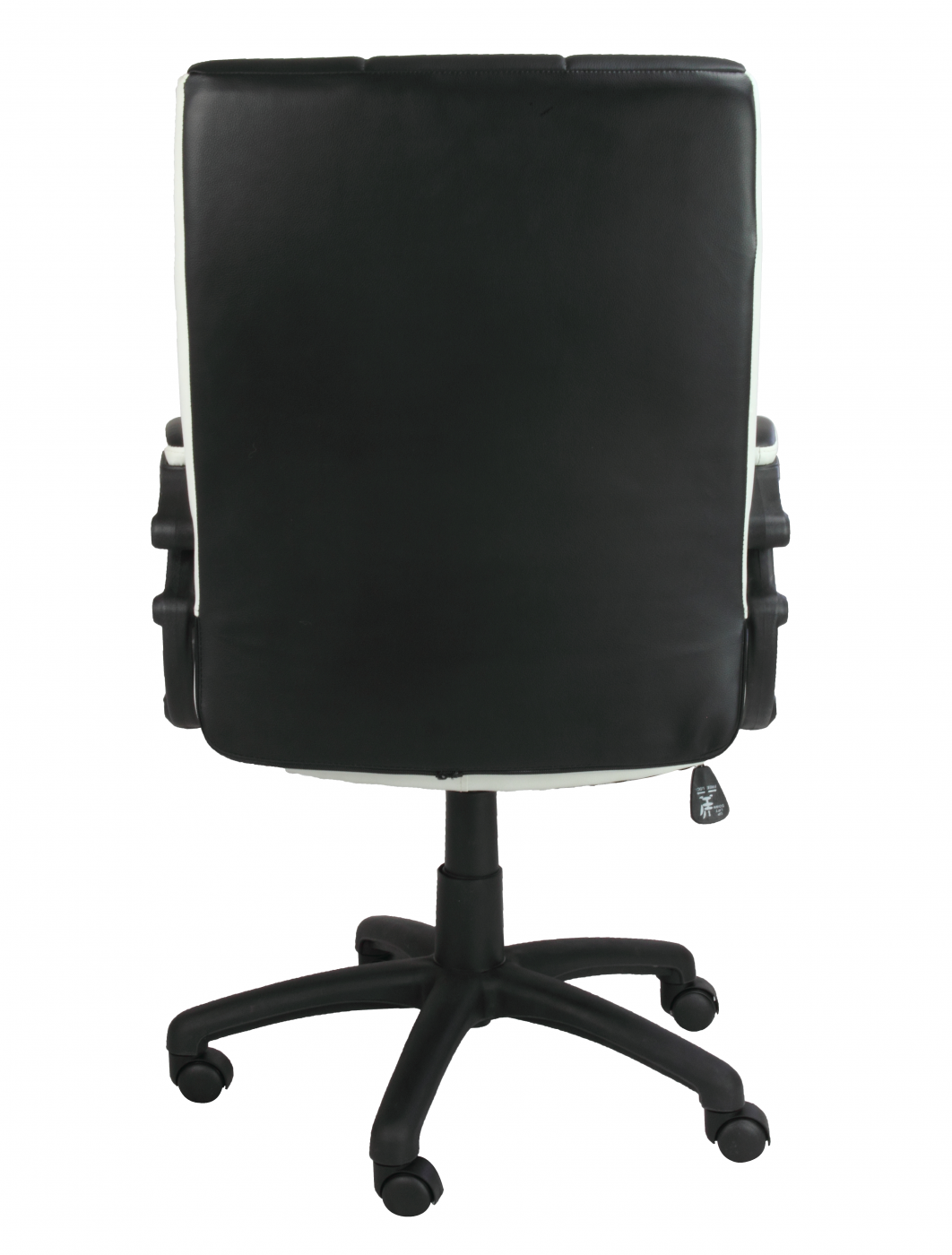 1382456800_awgT3hrO_elizatinsleybcp3025bwhback